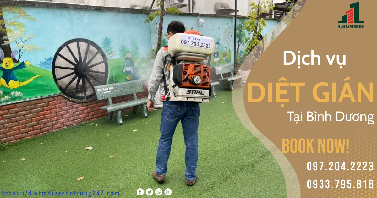 DỊCH VỤ DIỆT GIÁN TẠI BÌNH DƯƠNG